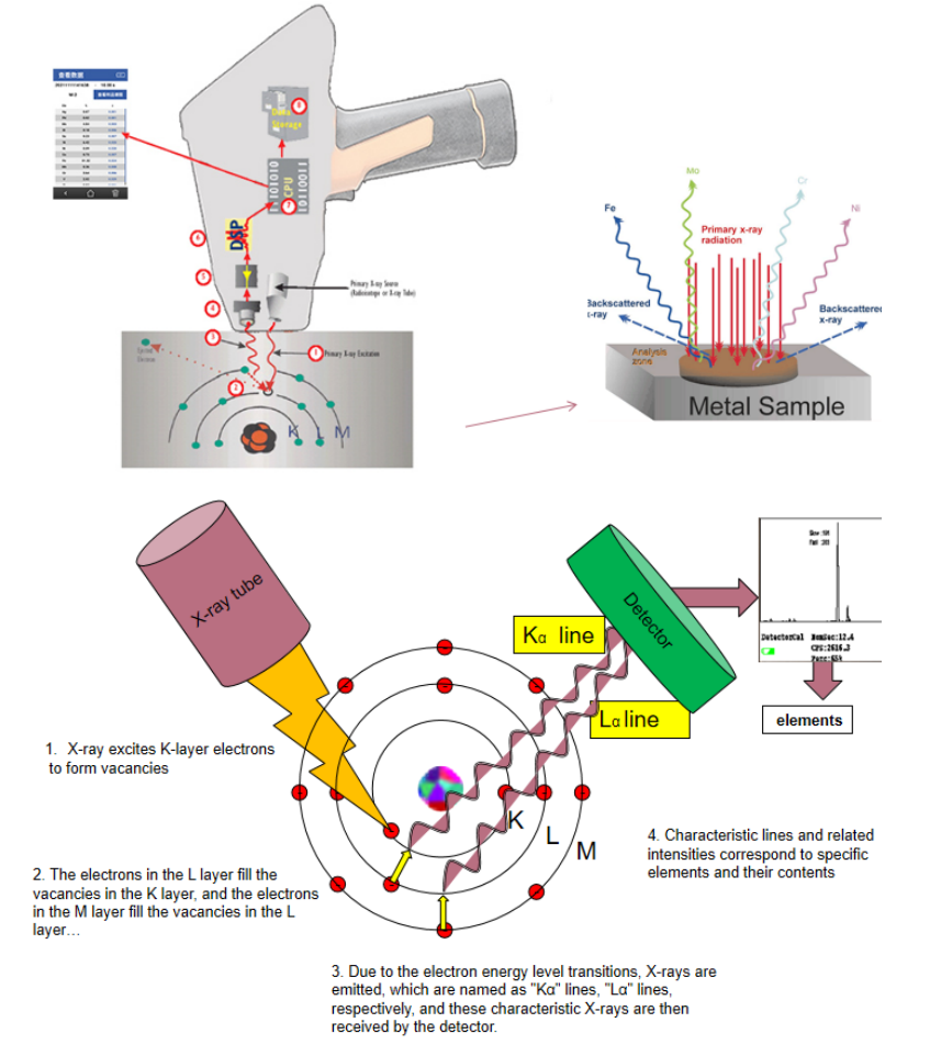 A technical illustration for the Terras XRF Analyzer A technical illustration for the Terras XRF Analyzer